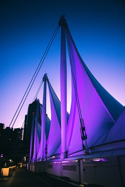 紫色和蓝色点燃的建筑在夜间
